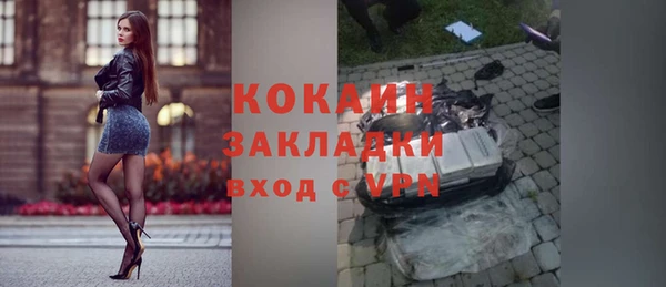 соль ск Богданович