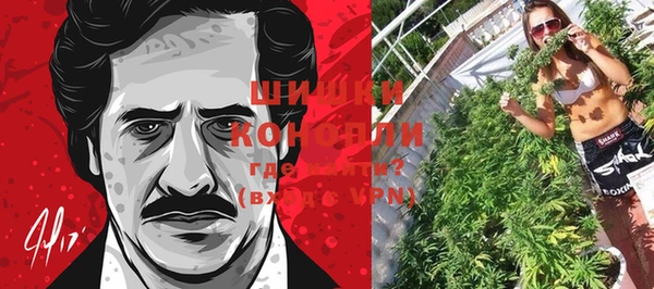 соль ск Богданович